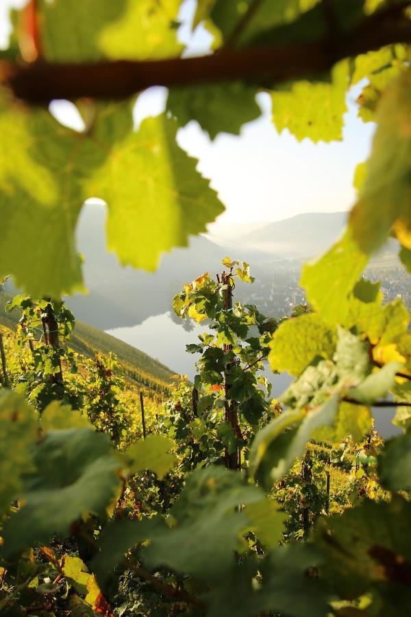 Guest house Wein Und Gaestehaus Huels